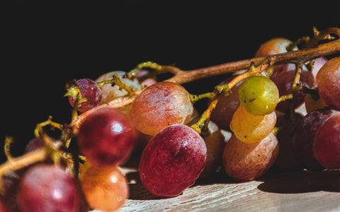 Bio-grapes-Bio-wein-wine-vino-biologico-Lidivine-shop-01