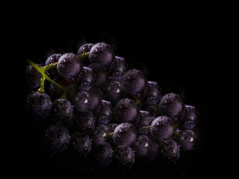 grapes-uva-vitigni-enoteca-wein-wine-vite-shop-lidiwine-03