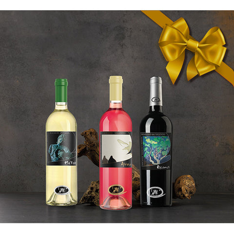 Flaschen-Weihnachtspräsente-Geschenkideen-Weihnachts-weißwein-rosèwein-rotwein-Vinorosso-vini-italiani-Christmas-lidivine-01