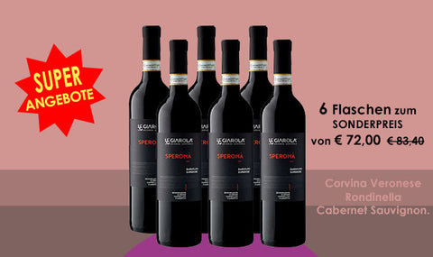 Rotwein-Sangiovese-Corvina-veronese-wein-vino-Rondinella-Cabernet-Sauvignon-Lidivine-angebote-shop-banner-P-01