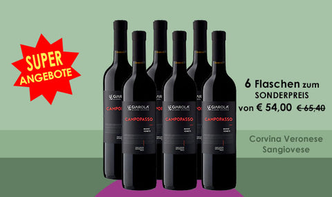 Rotwein-Sangiovese-Corvina-veronese-wein-vino-biologico-Lidivine-angebote-shop-banner-P-01