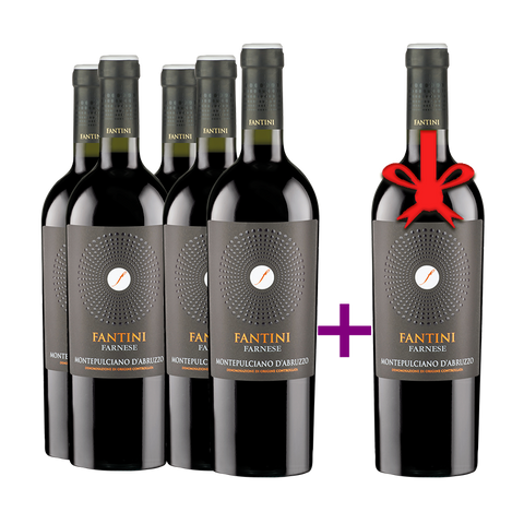 5+1-Montepulciano-d'abruzzo-fantini-Traube-wine-LIDIVINESHOP-05