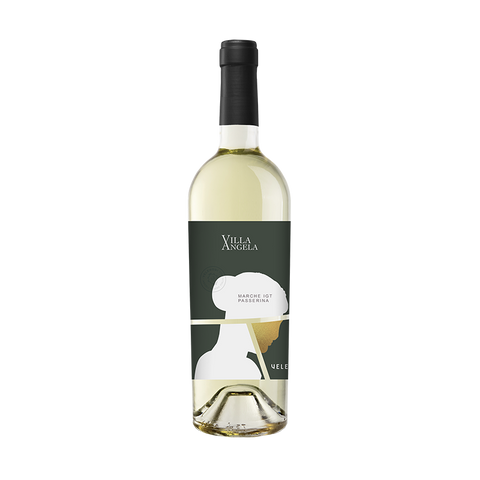Marche-IGT-Passerina-Wein-whitewine-vino-bianco-lidivineshpo-05