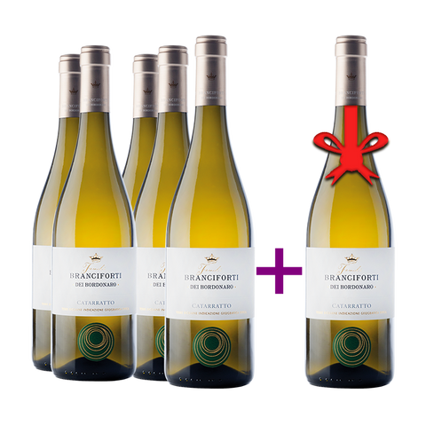 Wein-5+1-Weinbau-Catarratto-IGT-Terre_Siciliane-Weinranke-Lidiwein-shop-01